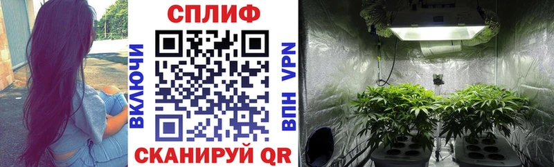 Где продают наркотики Звенигород АМФ Гашиш MEGA сайт Канабис Вейп ТГК