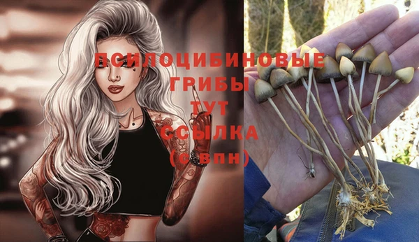 a pvp Мегион