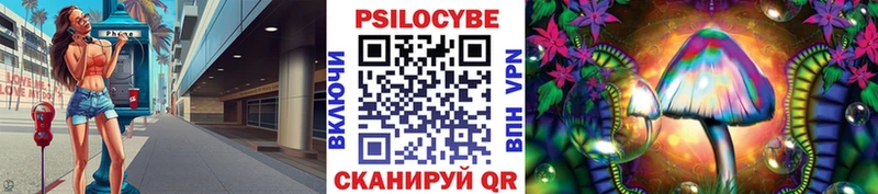 blacksprut рабочий сайт  закладки  Звенигород  Псилоцибиновые грибы Psilocybine cubensis 