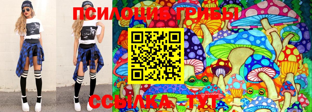 Галлюциногенные грибы MAGIC MUSHROOMS  Вход с VPN  Звенигород 