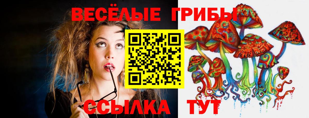 Псилоцибиновые грибы GOLDEN TEACHER Звенигород