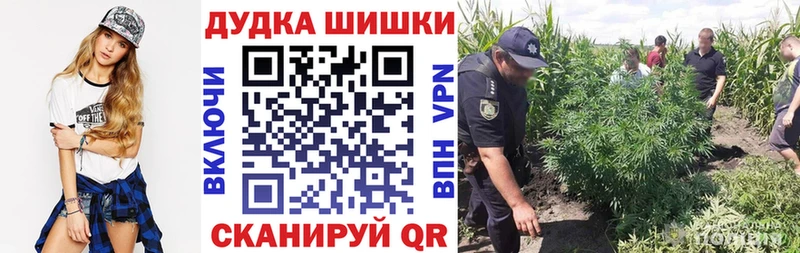 Бошки Шишки индика  дарк нет как зайти  Звенигород 